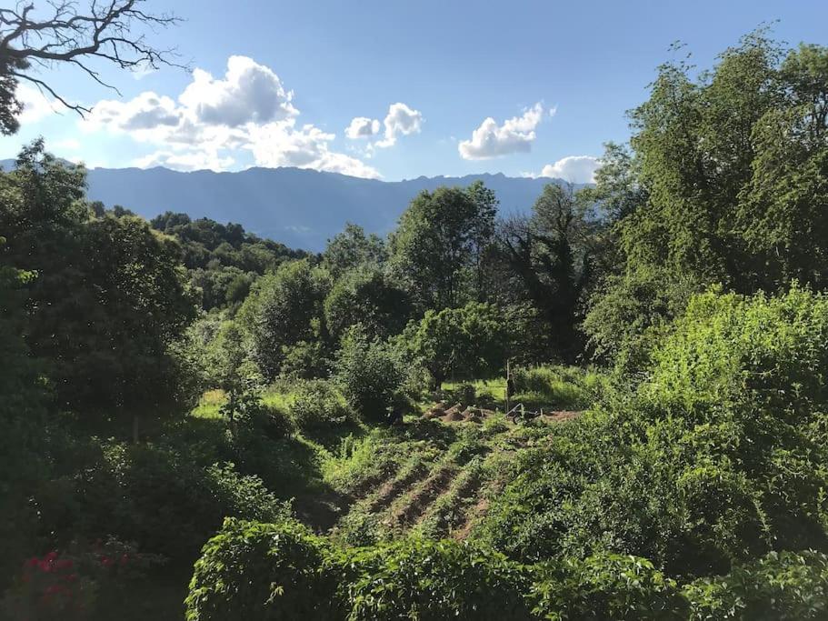 Belladone Guest House Theys Les 7 Laux Экстерьер фото