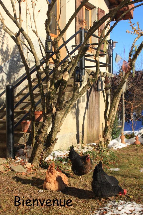 Belladone Guest House Theys Les 7 Laux Экстерьер фото
